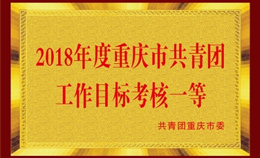 2018年度重庆市共青团工作目标考核一等