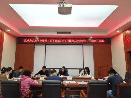 党政办公室（审计处）党支部开展3月主题党日活动