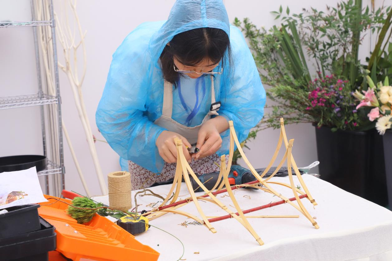 图片 5.png 图片 5.png