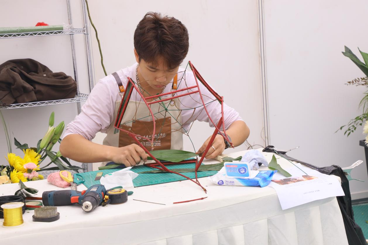 图片 7.png 图片 7.png