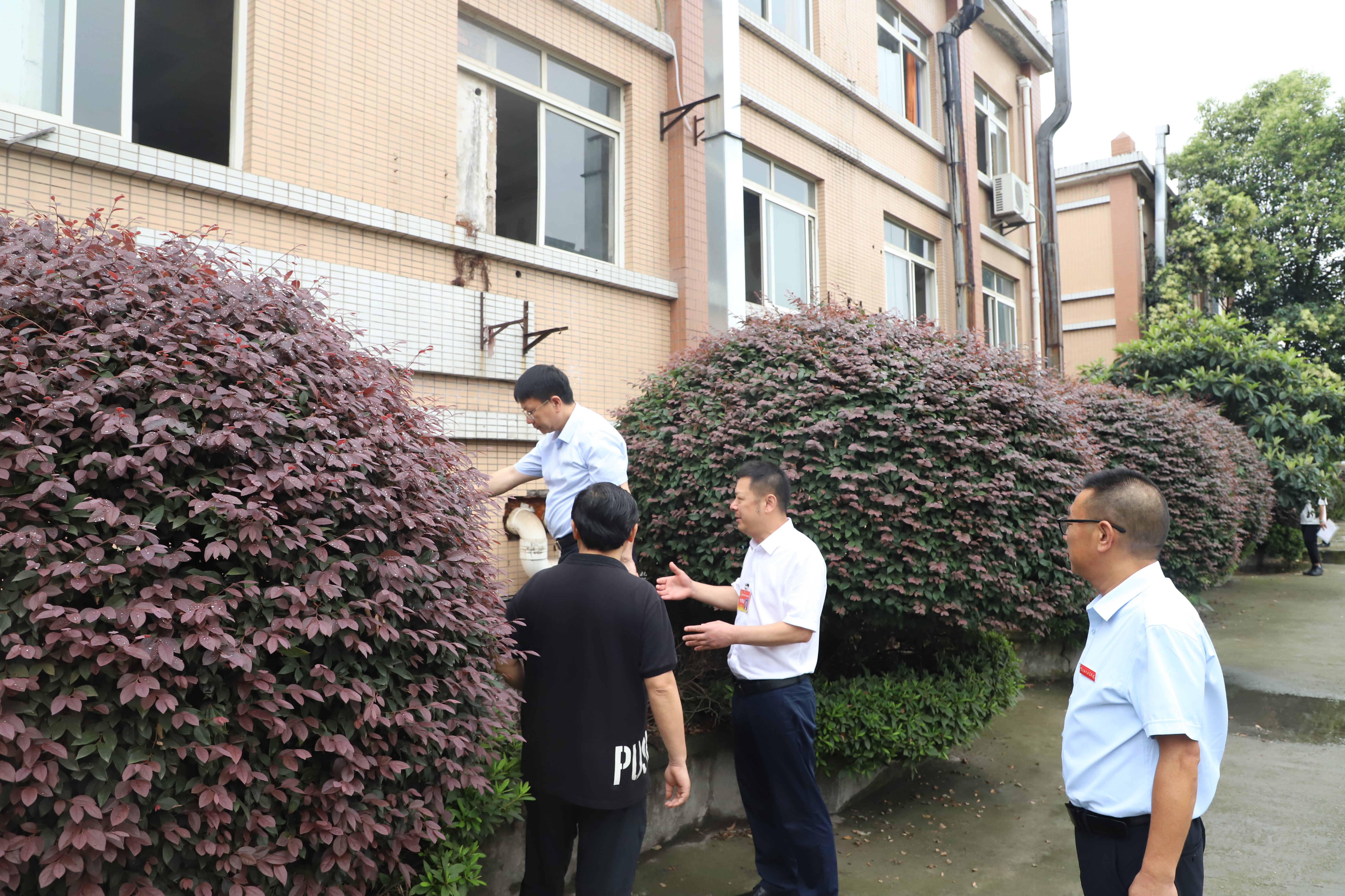永川区人大常委会副主任张正元一行来校调研指导