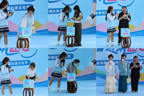图片 10.png